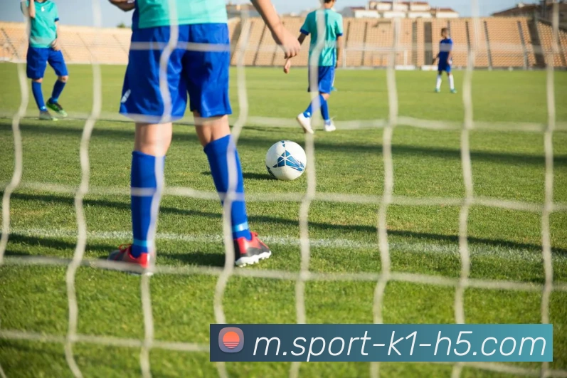 k1体育平台生态图